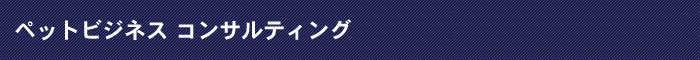 �y�b�g�r�W�l�X�R���T���e�B���O