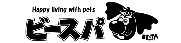 株式会社ビースパ 2017-03-23