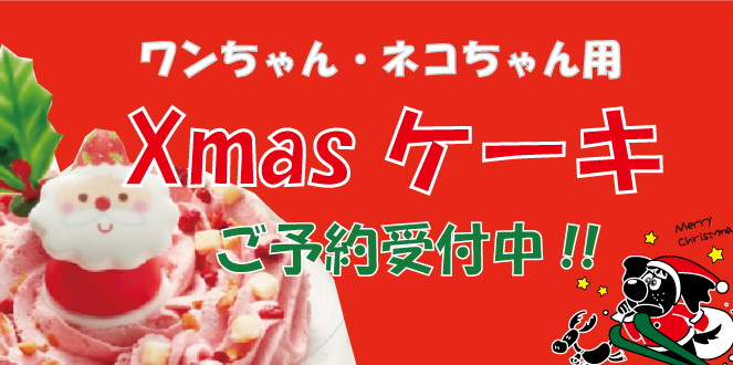 クリスマスケーキご予約受付中です
