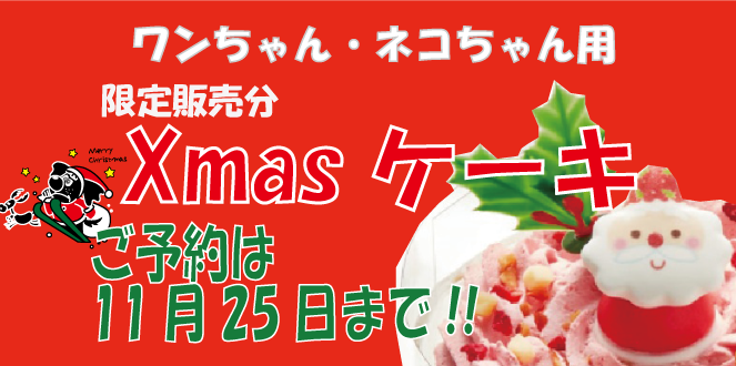 クリスマスケーキご予約受付中です